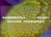梅花易数预测足彩比分⚽👉梅花易数与足彩比分预测，古老智慧的现代应用