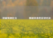 球星预测比分⚽👉揭秘未来的足球对决