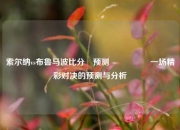 索尔纳vs布鲁马波比分⚽预测🎖️一场精彩对决的预测与分析
