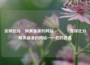 足球比分⚽预测最准的网站👉足球比分预测最准的网站——您的首选