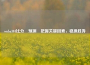 wnba301比分⚽预测⚽把握关键因素，稳操胜券