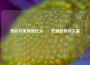 竞彩专家预测比分⚽⚽把握胜算的关键