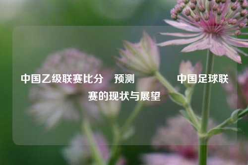 中国乙级联赛比分⚽预测🥉中国足球联赛的现状与展望