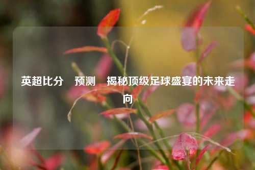 英超比分⚽预测⚾揭秘顶级足球盛宴的未来走向