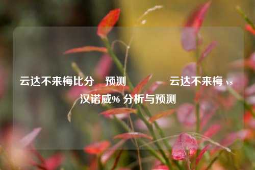 云达不来梅比分⚽预测🌈云达不来梅 vs 汉诺威96 分析与预测