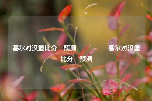 基尔对汉堡比分⚽预测🎖️基尔对汉堡比分⚽预测