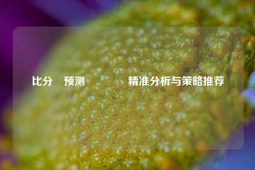 比分⚽预测👍精准分析与策略推荐