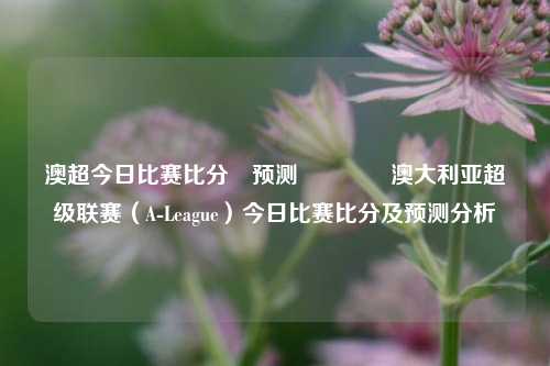 澳超今日比赛比分⚽预测🌈澳大利亚超级联赛（A-League）今日比赛比分及预测分析