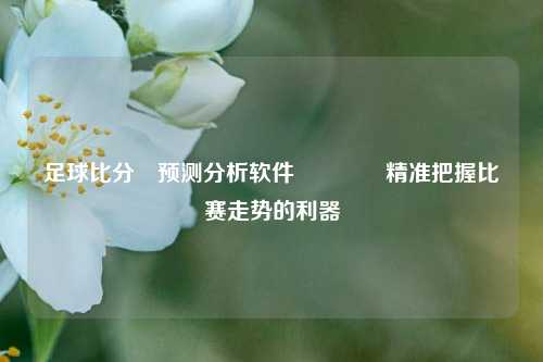 足球比分⚽预测分析软件👉精准把握比赛走势的利器