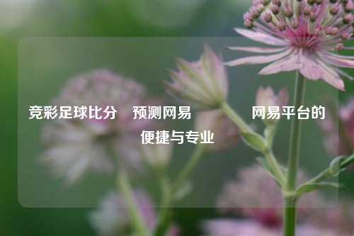 竞彩足球比分⚽预测网易🌈网易平台的便捷与专业