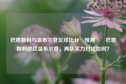 巴恩斯利与温布尔登足球比分⚽预测✌️巴恩斯利迎战温布尔登，两队实力对比如何？