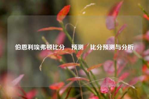 伯恩利埃弗顿比分⚽预测⚽比分预测与分析