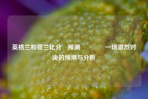 英格兰和荷兰比分⚽预测🏐一场激烈对决的预测与分析