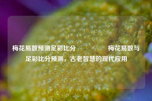 梅花易数预测足彩比分⚽👉梅花易数与足彩比分预测，古老智慧的现代应用