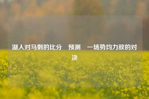 湖人对马刺的比分⚽预测⚾一场势均力敌的对决