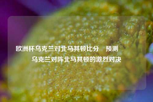 欧洲杯乌克兰对北马其顿比分⚽预测🌈乌克兰对阵北马其顿的激烈对决
