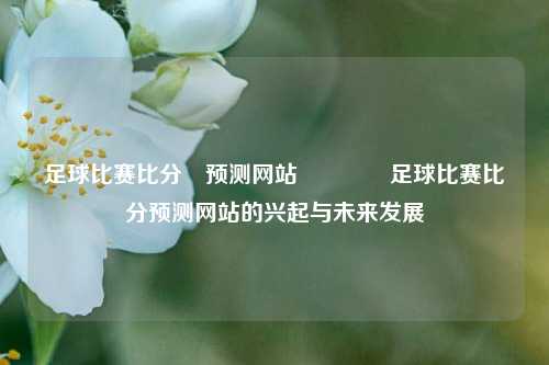足球比赛比分⚽预测网站🥈足球比赛比分预测网站的兴起与未来发展