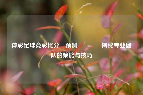 体彩足球竞彩比分⚽预测🏅揭秘专业团队的策略与技巧