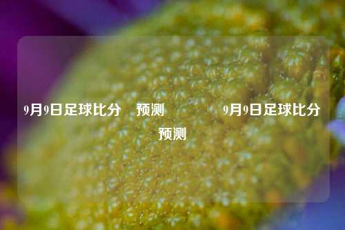 9月9日足球比分⚽预测🏅9月9日足球比分⚽预测