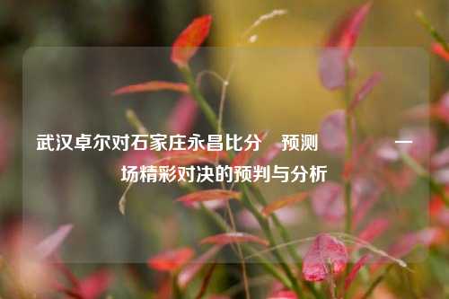武汉卓尔对石家庄永昌比分⚽预测🌈一场精彩对决的预判与分析