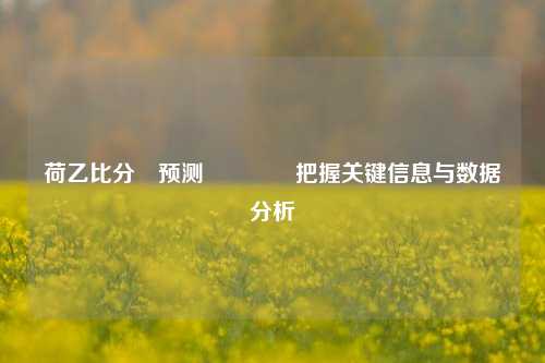 荷乙比分⚽预测👍把握关键信息与数据分析