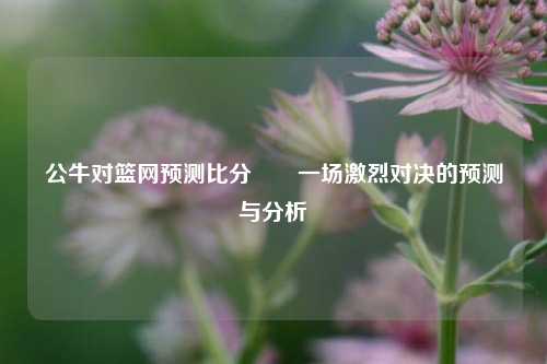 公牛对篮网预测比分⚽⚽一场激烈对决的预测与分析
