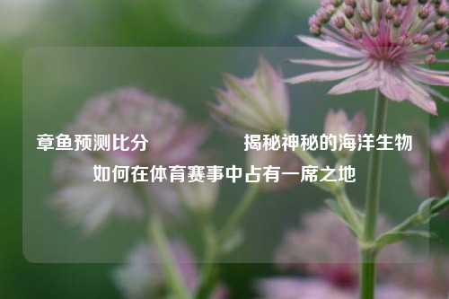 章鱼预测比分⚽🥇揭秘神秘的海洋生物如何在体育赛事中占有一席之地