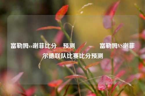 富勒姆vs谢菲比分⚽预测🥉富勒姆VS谢菲尔德联队比赛比分预测
