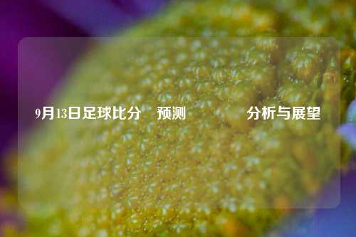 9月13日足球比分⚽预测👈分析与展望