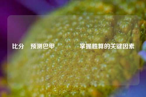 比分⚽预测巴甲🏆掌握胜算的关键因素