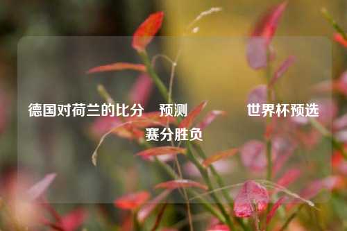 德国对荷兰的比分⚽预测👉世界杯预选赛分胜负