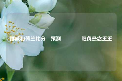 挪威和荷兰比分⚽预测👍胜负悬念重重