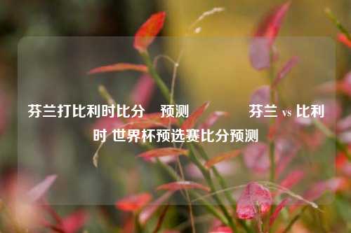 芬兰打比利时比分⚽预测👉芬兰 vs 比利时 世界杯预选赛比分预测