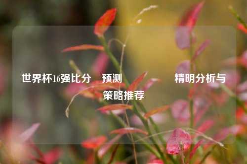 世界杯16强比分⚽预测🎖️精明分析与策略推荐