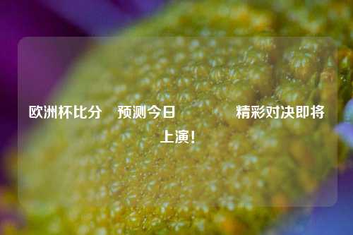 欧洲杯比分⚽预测今日🏆精彩对决即将上演！