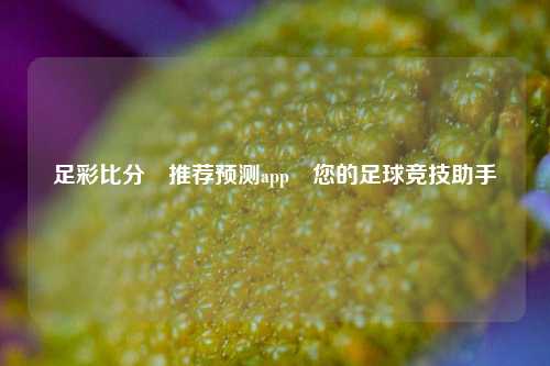 足彩比分⚽推荐预测app⚾您的足球竞技助手