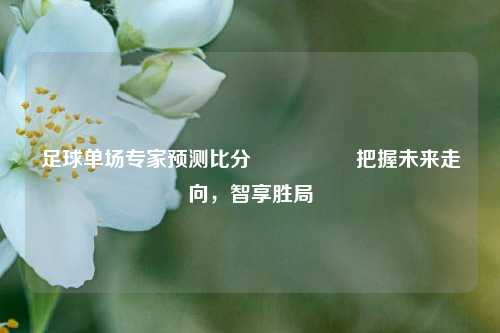 足球单场专家预测比分⚽🥇把握未来走向，智享胜局