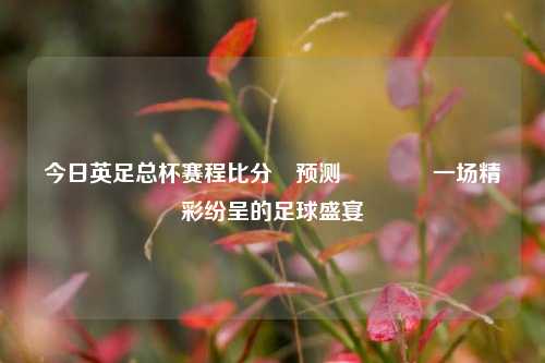 今日英足总杯赛程比分⚽预测🥎一场精彩纷呈的足球盛宴