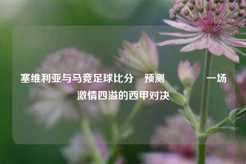 塞维利亚与马竞足球比分⚽预测🏆一场激情四溢的西甲对决