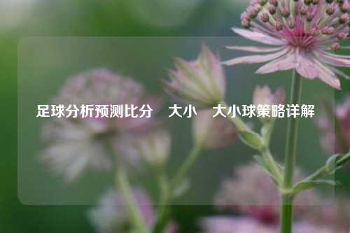 足球分析预测比分⚽大小⚽大小球策略详解