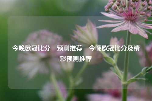 今晚欧冠比分⚽预测推荐⚽今晚欧冠比分及精彩预测推荐
