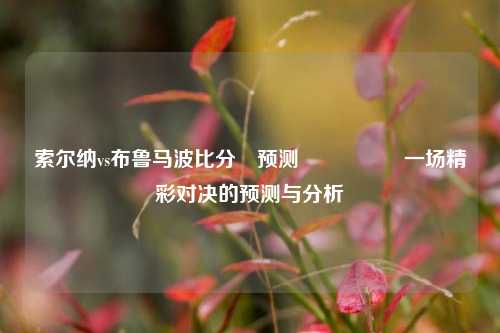 索尔纳vs布鲁马波比分⚽预测🎖️一场精彩对决的预测与分析