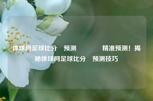 体球网足球比分⚽预测🥈精准预测！揭秘体球网足球比分⚽预测技巧
