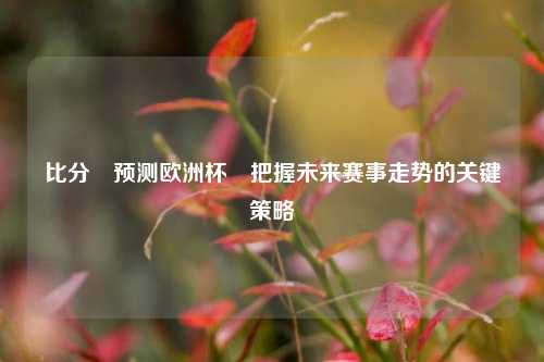 比分⚽预测欧洲杯⚽把握未来赛事走势的关键策略