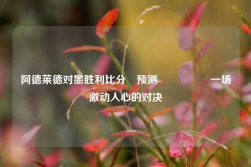 阿德莱德对墨胜利比分⚽预测🎖️一场激动人心的对决