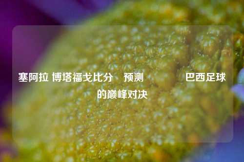 塞阿拉 博塔福戈比分⚽预测🏀巴西足球的巅峰对决