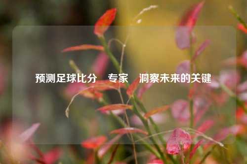 预测足球比分⚽专家⚾洞察未来的关键