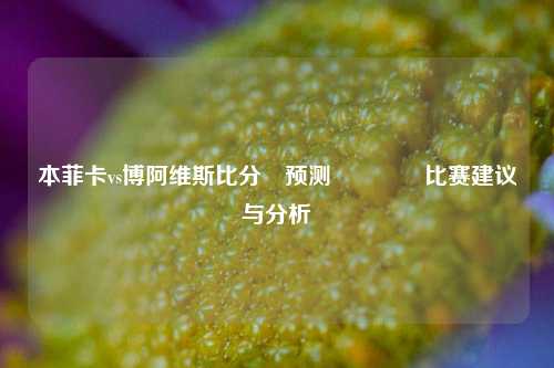本菲卡vs博阿维斯比分⚽预测🥇比赛建议与分析