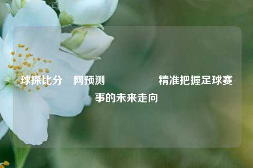 球探比分⚽网预测🎖️精准把握足球赛事的未来走向
