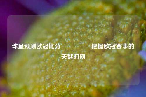 球星预测欧冠比分⚽🌈把握欧冠赛事的关键时刻